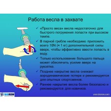 Семинар по биомеханике академической гребли