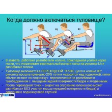 Семинар по биомеханике академической гребли