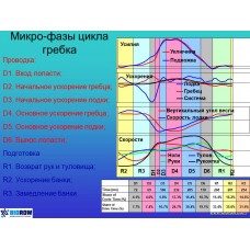Семинар по биомеханике академической гребли