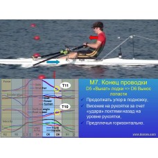 Семинар по биомеханике академической гребли