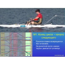Семинар по биомеханике академической гребли