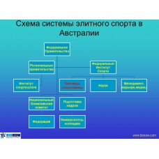 Семинар по биомеханике академической гребли