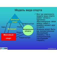 Семинар по биомеханике академической гребли