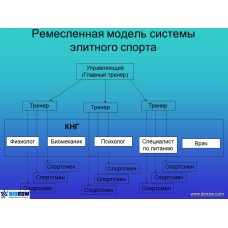 Семинар по биомеханике академической гребли