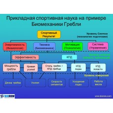 Семинар по биомеханике академической гребли