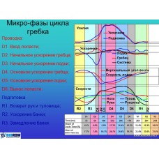 Семинар по академической гребле Семинар по академической гребле