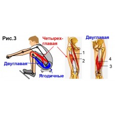 Использование ног и туловища на проводке Использование ног и туловища на проводке