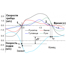 Новости Биомеханики Гребли No.217 апрель 2019