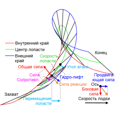 Новости Биомеханики Гребли No.225 декабрь 2019